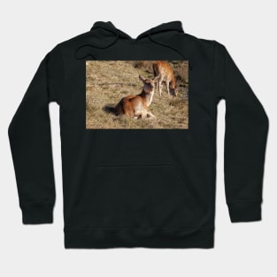 Red Deer Hoodie